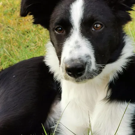 De Charme Avec Terrasse, Proche Circuit 24h Et Zoo De La Fleche, Ideal Pour 4 Pers. - Fr-1-410-438